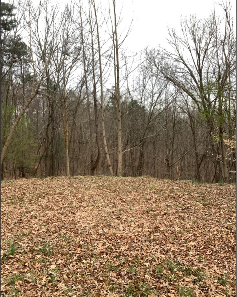 Lot 59 Timberwalk Drive Property Photo 1