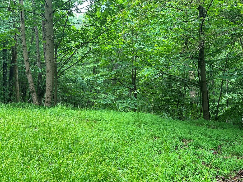 Lot 59 Timberwalk Drive Property Photo 2