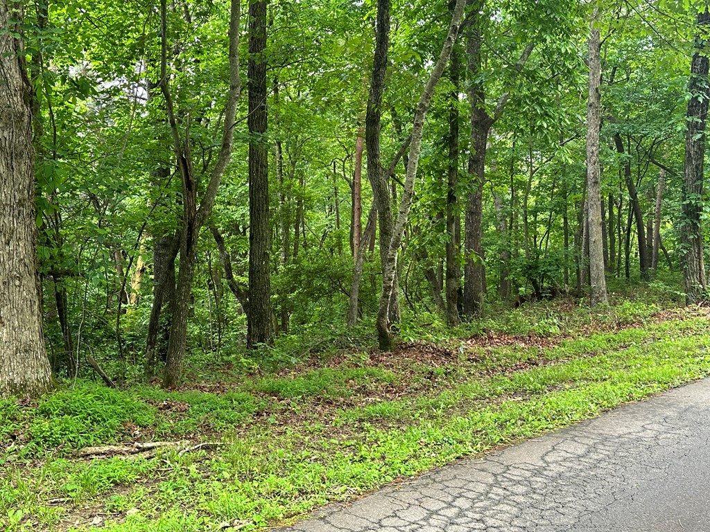 Lot 59 Timberwalk Drive Property Photo 4