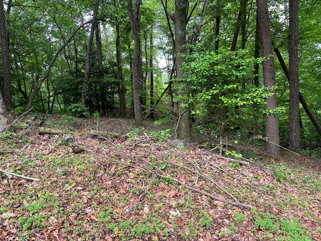 Lot 59 Timberwalk Drive Property Photo 5