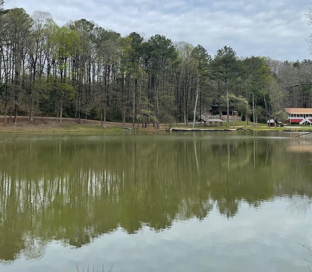 Lot 59 Timberwalk Drive Property Photo 8