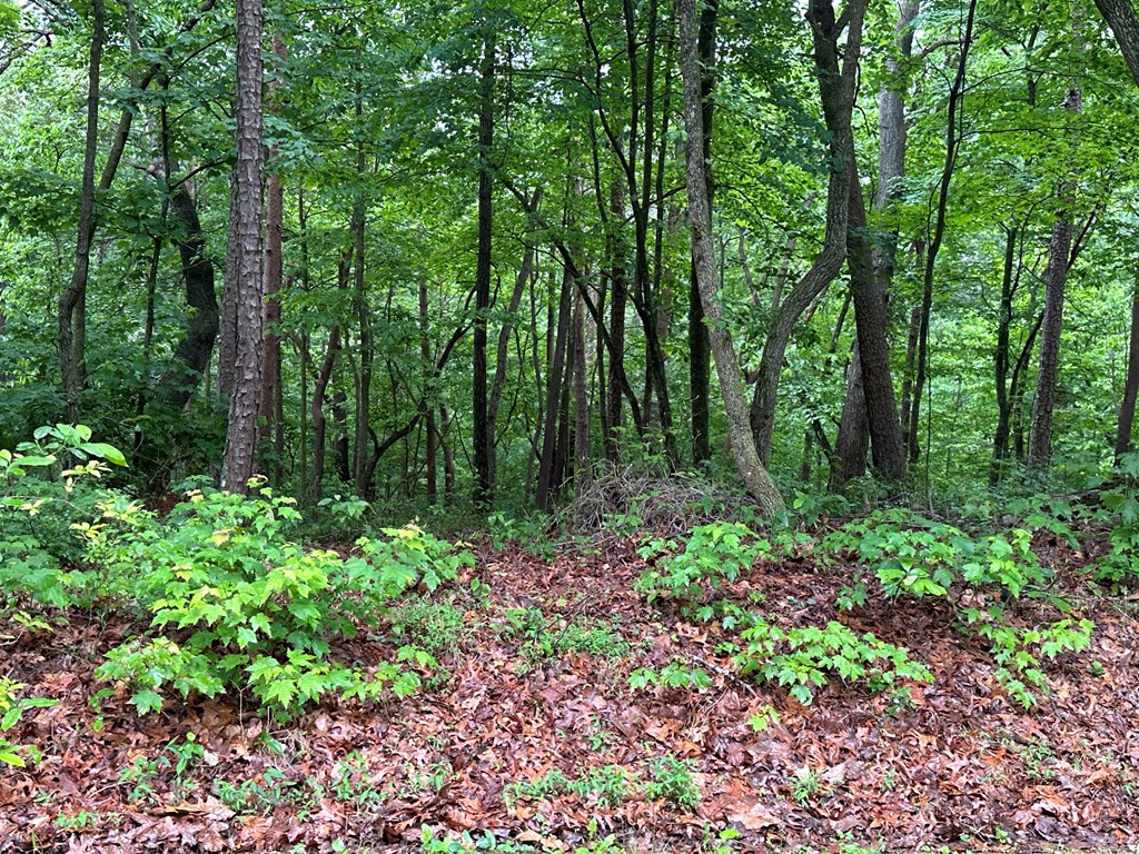 Lot 59 Timberwalk Drive Property Photo 9