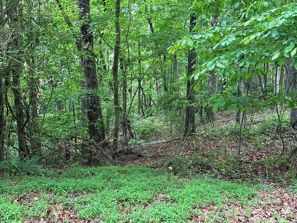 Lot 59 Timberwalk Drive Property Photo 10
