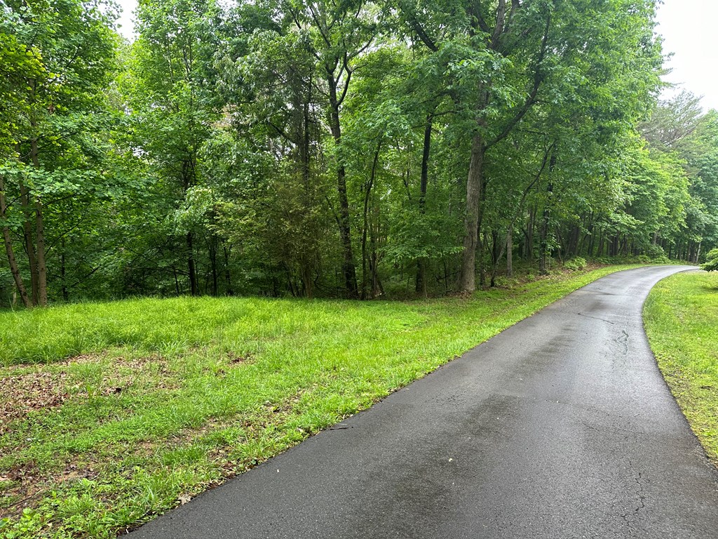 Lot 40 Timberwalk Drive Property Photo 2