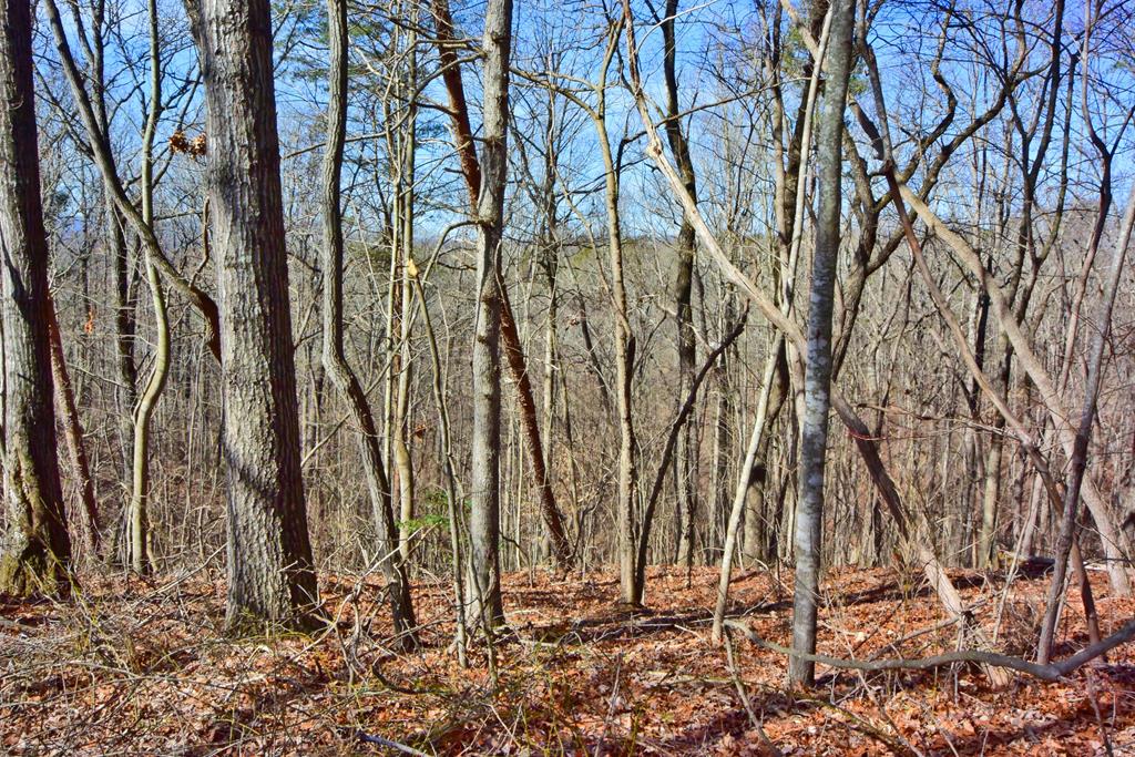 Lot 40 Timberwalk Drive Property Photo 5
