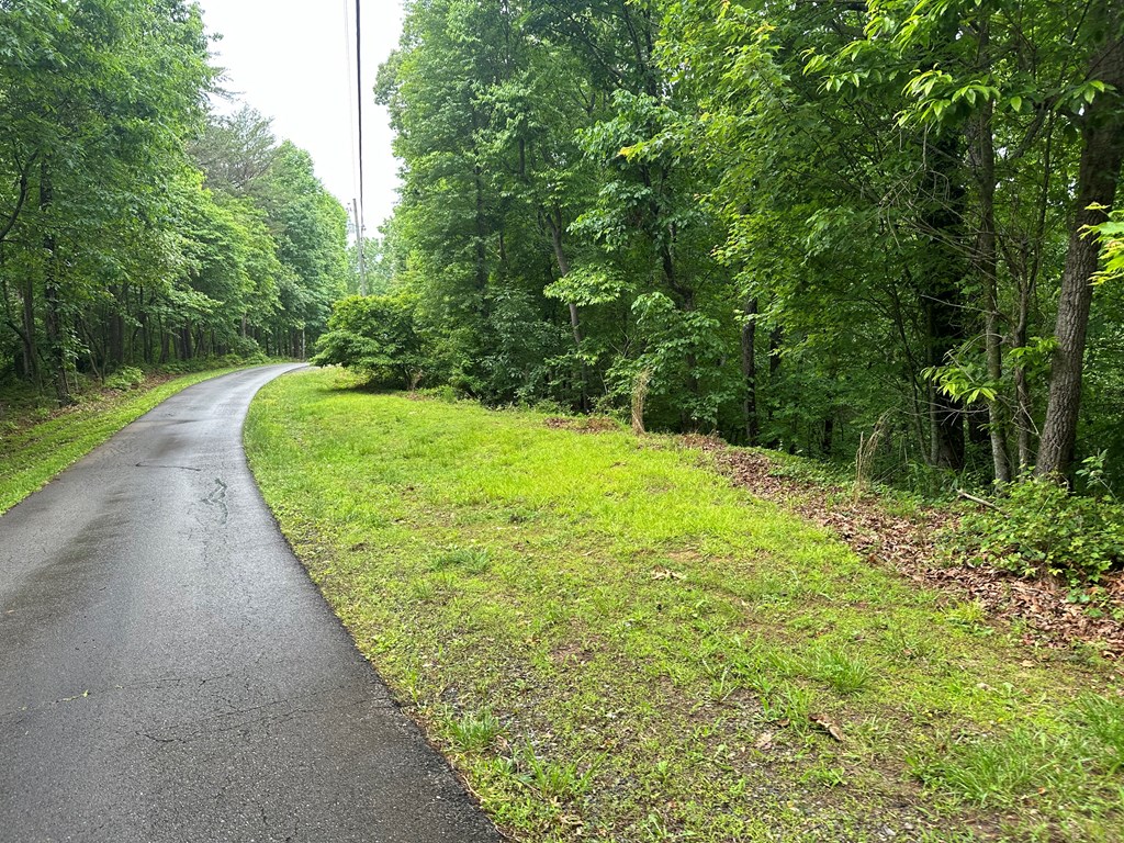 Lot 40 Timberwalk Drive Property Photo 7