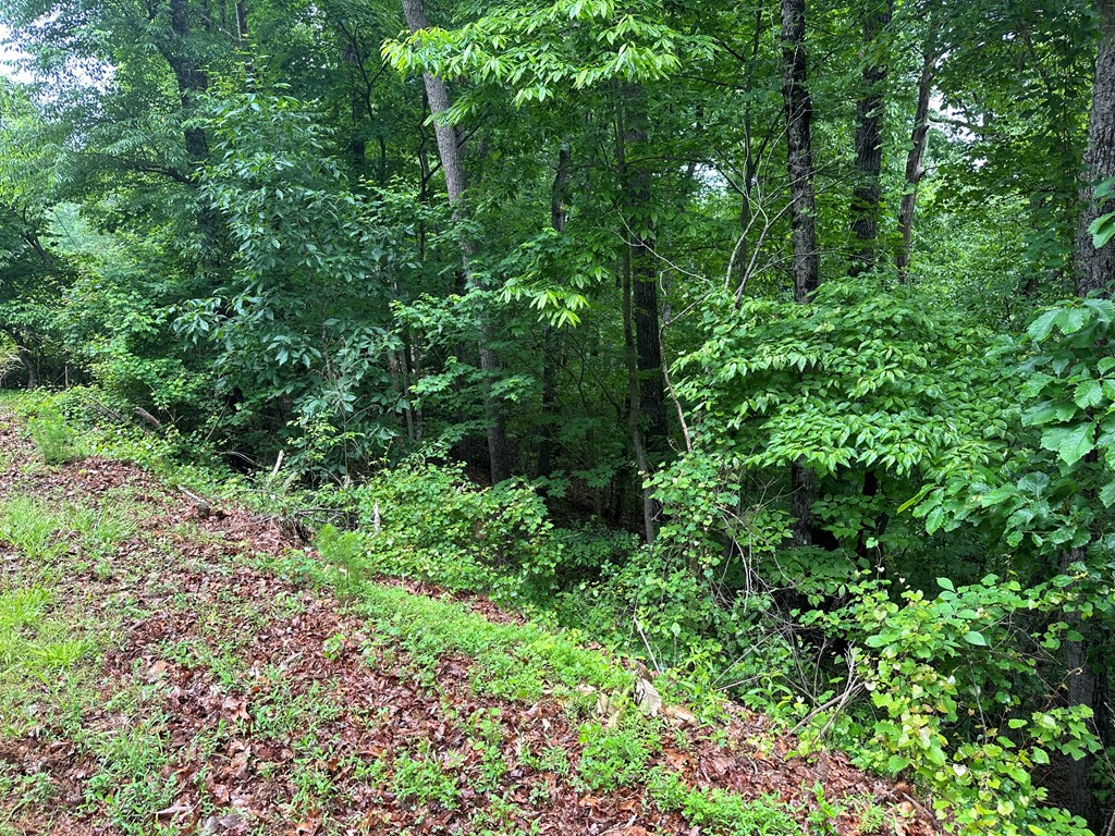 Lot 40 Timberwalk Drive Property Photo 8