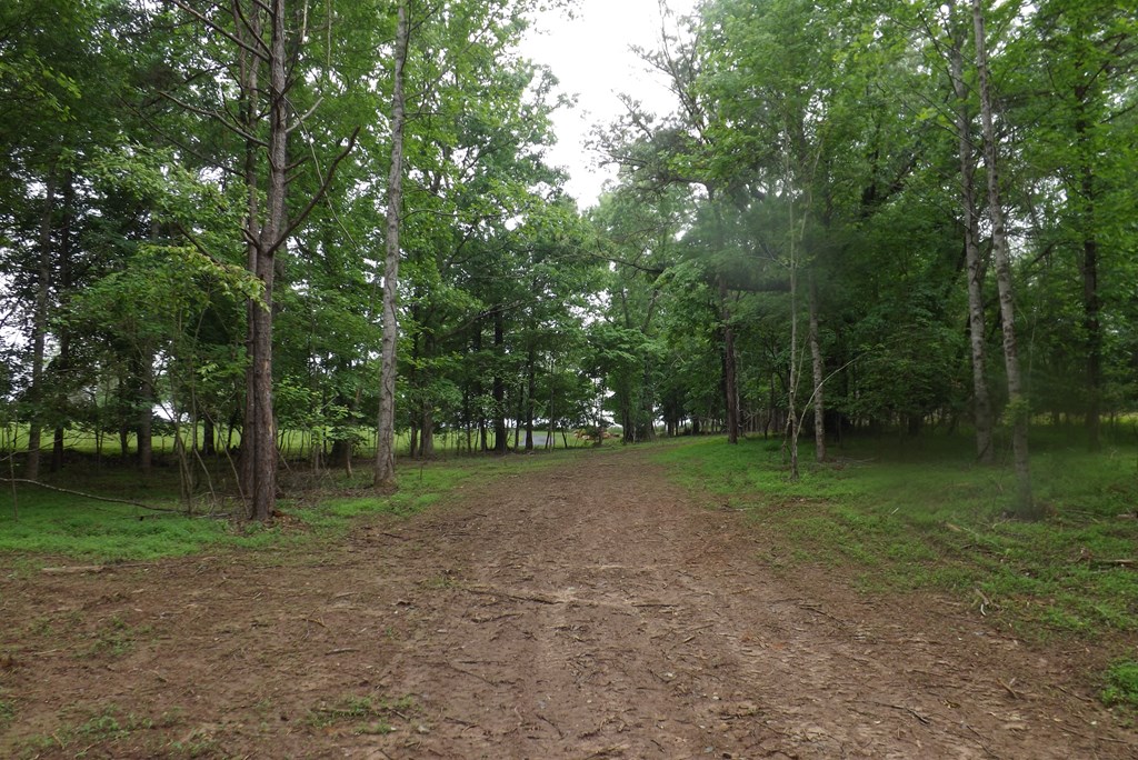 Property Photo 28