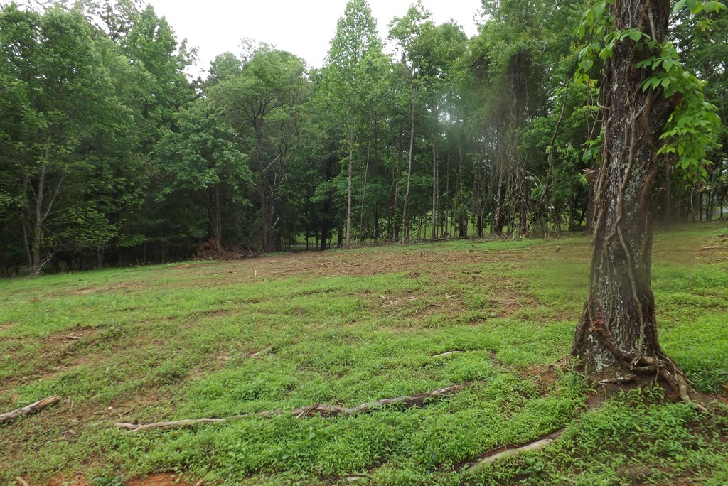 Property Photo 32