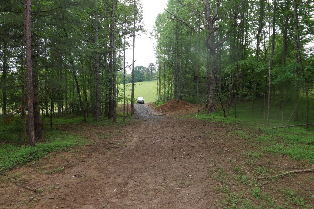 Property Photo 33