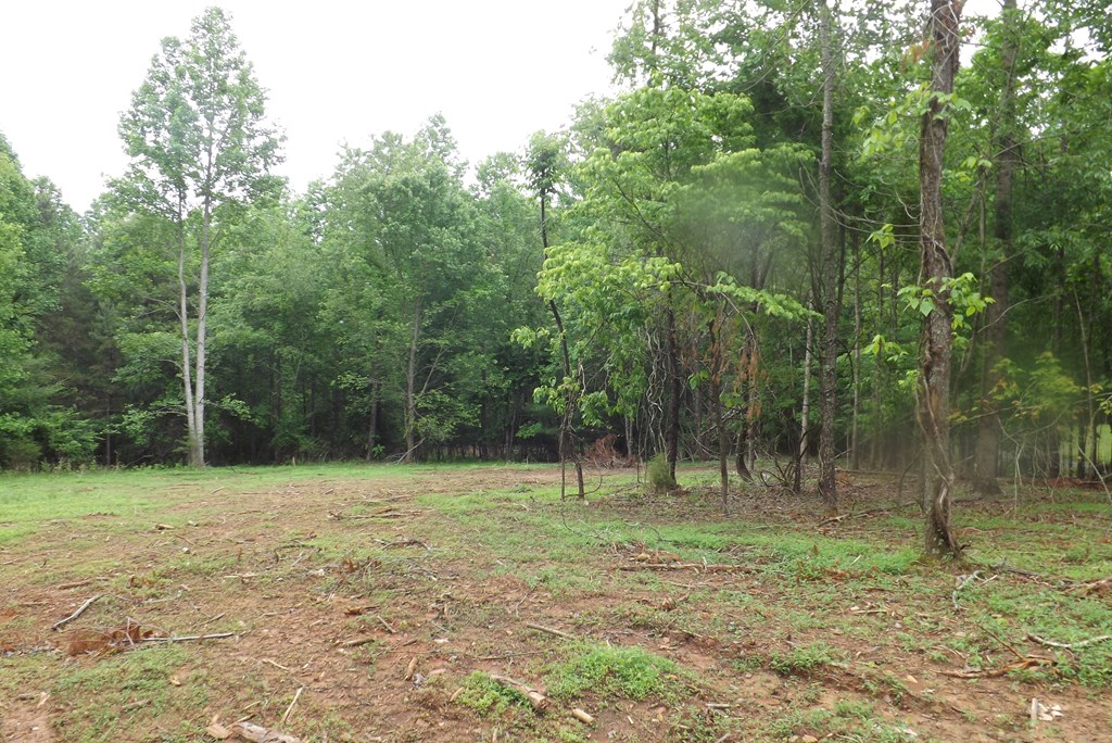 Property Photo 34