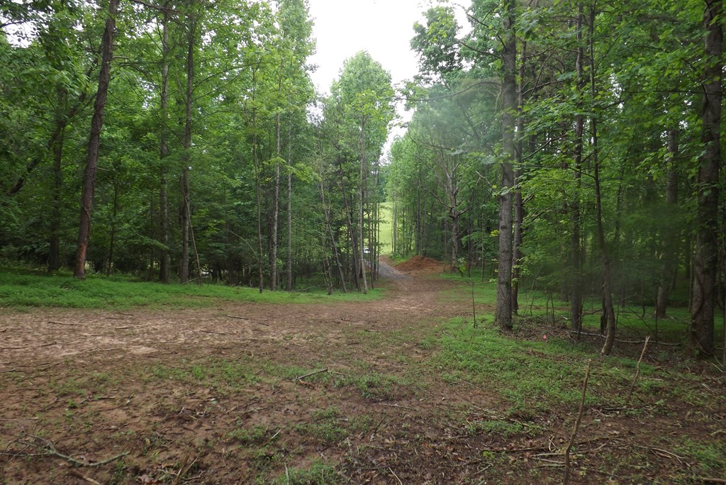 Property Photo 36