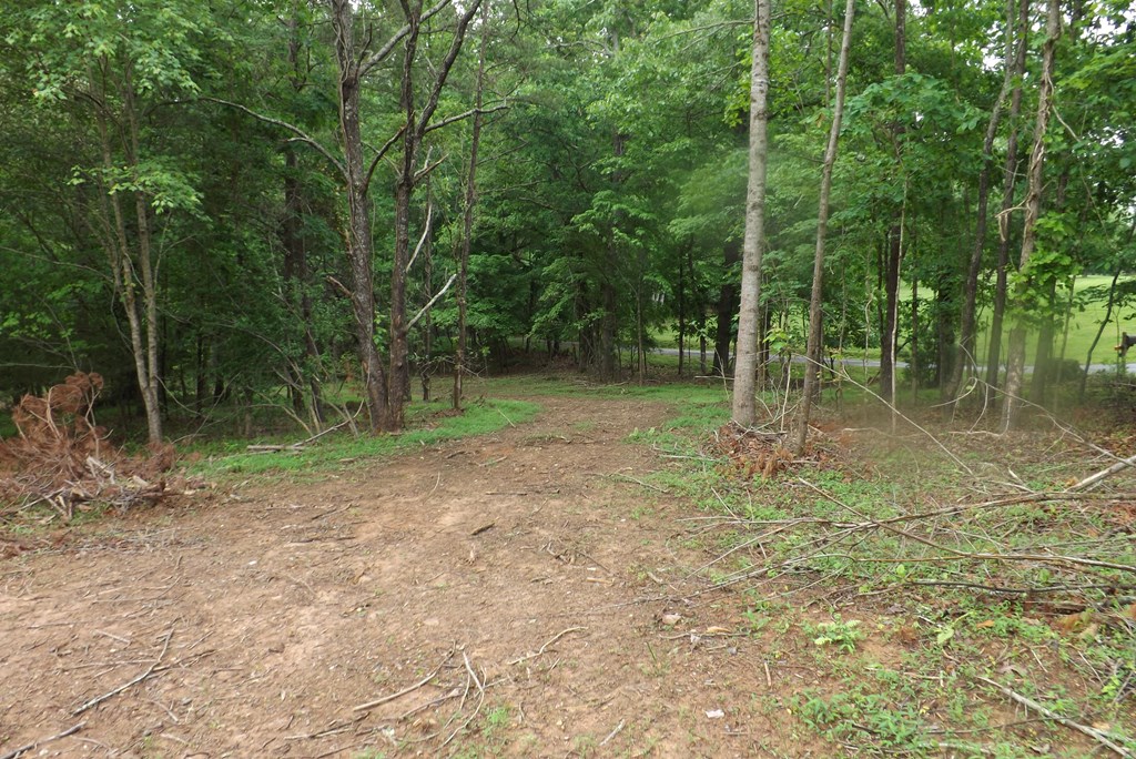 Property Photo 37