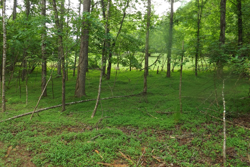 Property Photo 40