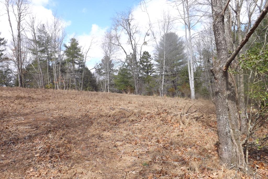 Property Photo 47