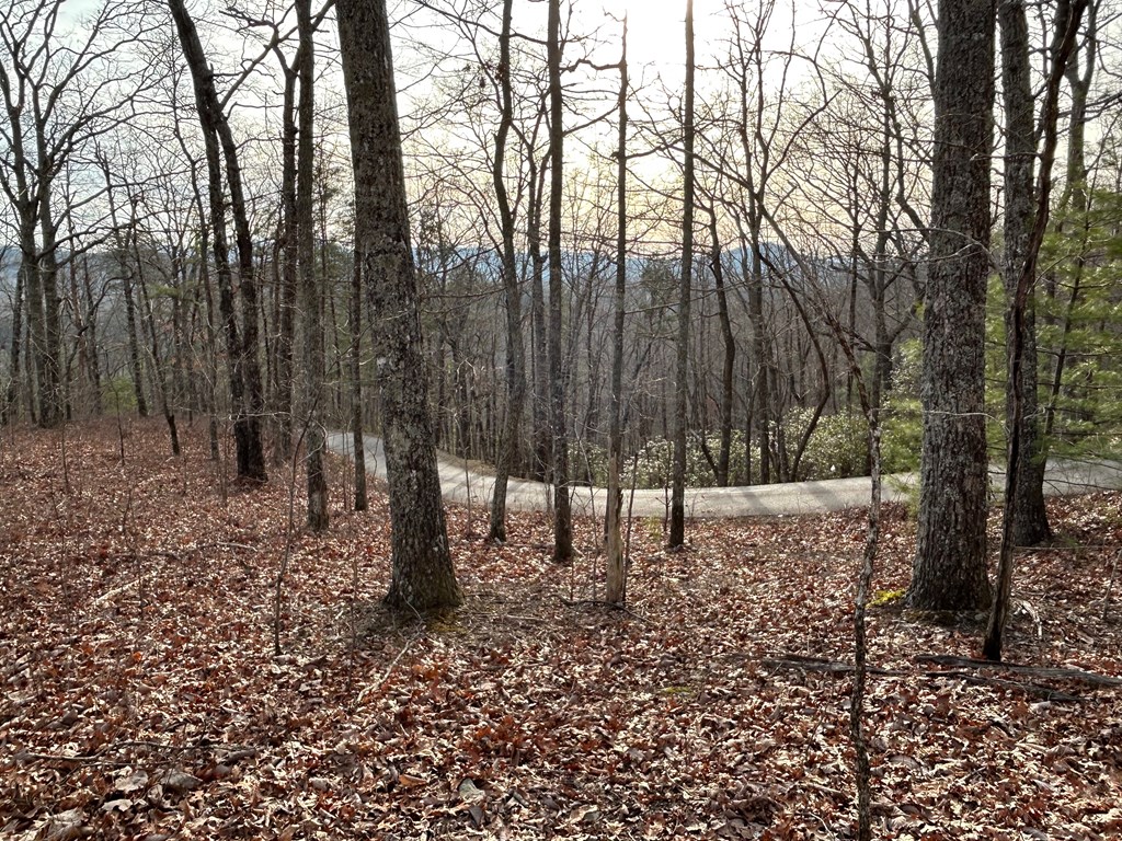 Lot 25 Mission Ridge Drive Property Photo 2
