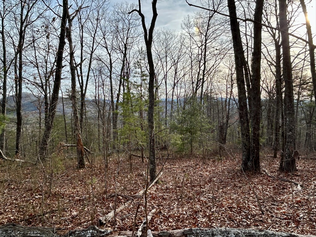 Lot 25 Mission Ridge Drive Property Photo 3