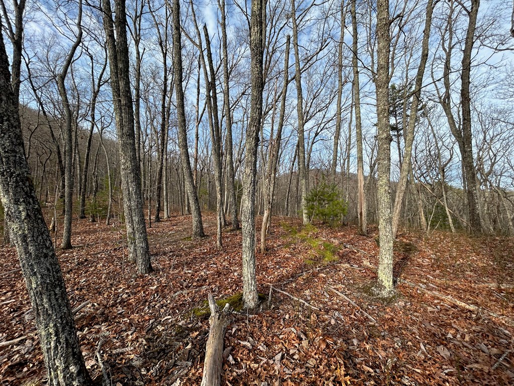Lot 25 Mission Ridge Drive Property Photo 4