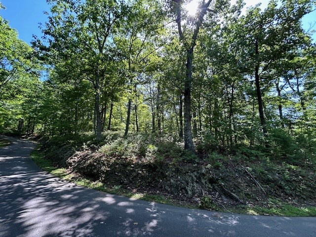 Lot 25 Mission Ridge Drive Property Photo 5