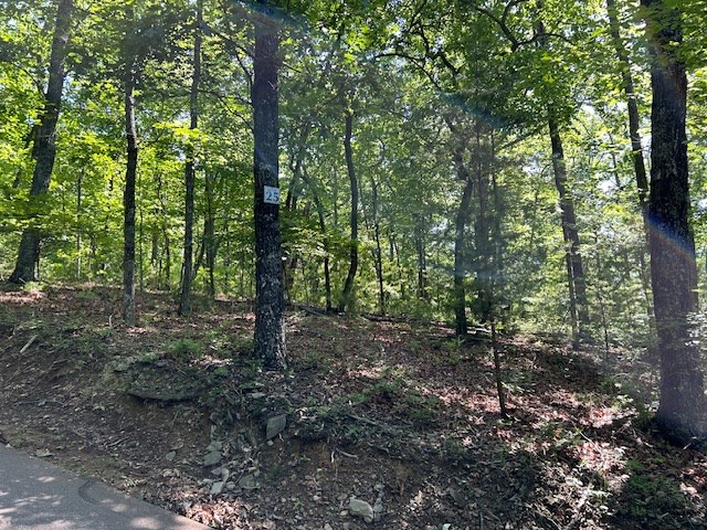 Lot 25 Mission Ridge Drive Property Photo 6