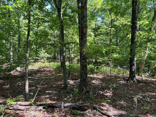 Lot 25 Mission Ridge Drive Property Photo 7