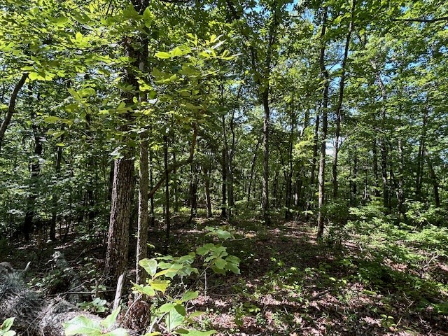 Lot 25 Mission Ridge Drive Property Photo 8