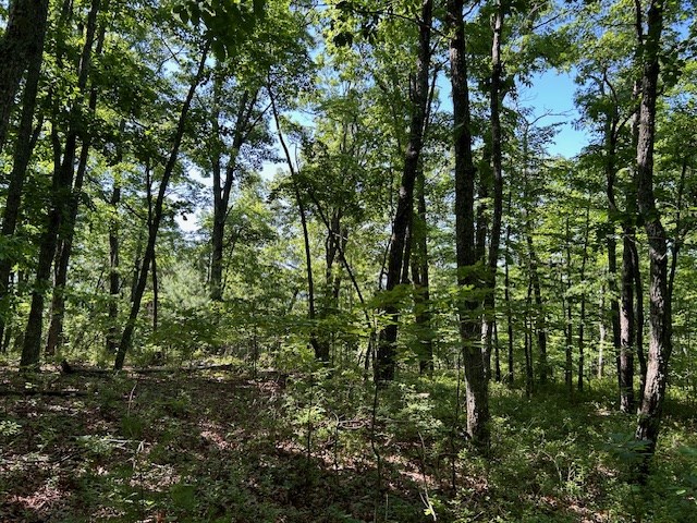 Lot 25 Mission Ridge Drive Property Photo 9