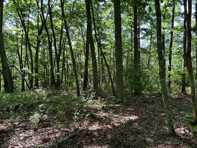 Lot 25 Mission Ridge Drive Property Photo 10