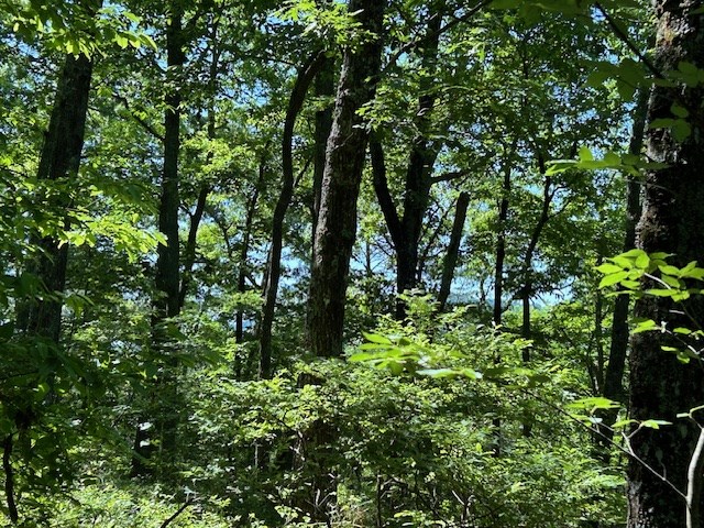 Lot 25 Mission Ridge Drive Property Photo 11