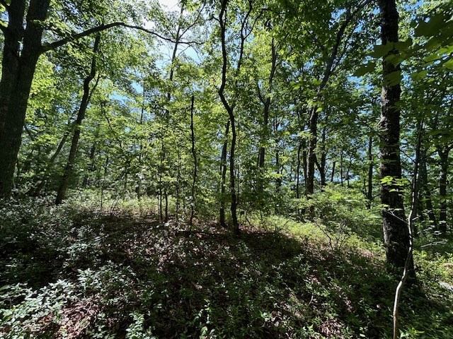 Lot 25 Mission Ridge Drive Property Photo 12