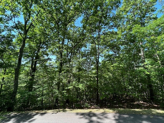Lot 25 Mission Ridge Drive Property Photo 13