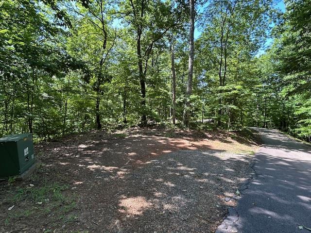 Lot 25 Mission Ridge Drive Property Photo 14