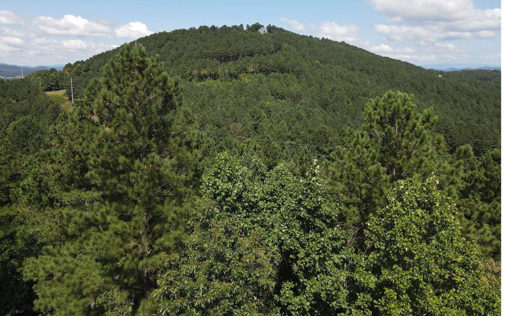 Lt 62 Ridge Peak View Property Photo 2