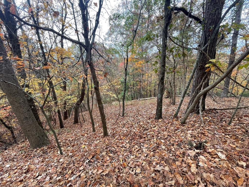 Lot 468 Cherokee Court Property Photo 1