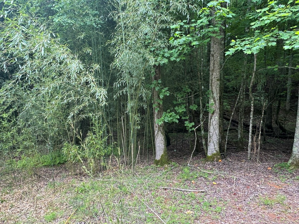 Lot 1721 Newport Drive Property Photo 10