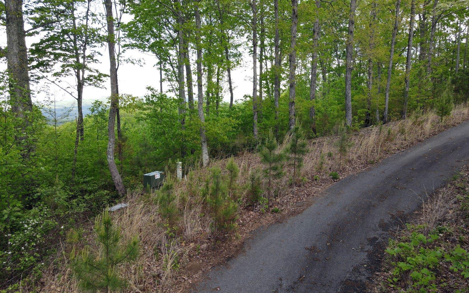 Lot 88 Thirteen Hundred Property Photo 1