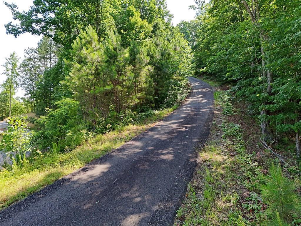 Lot 88 Thirteen Hundred Property Photo 2
