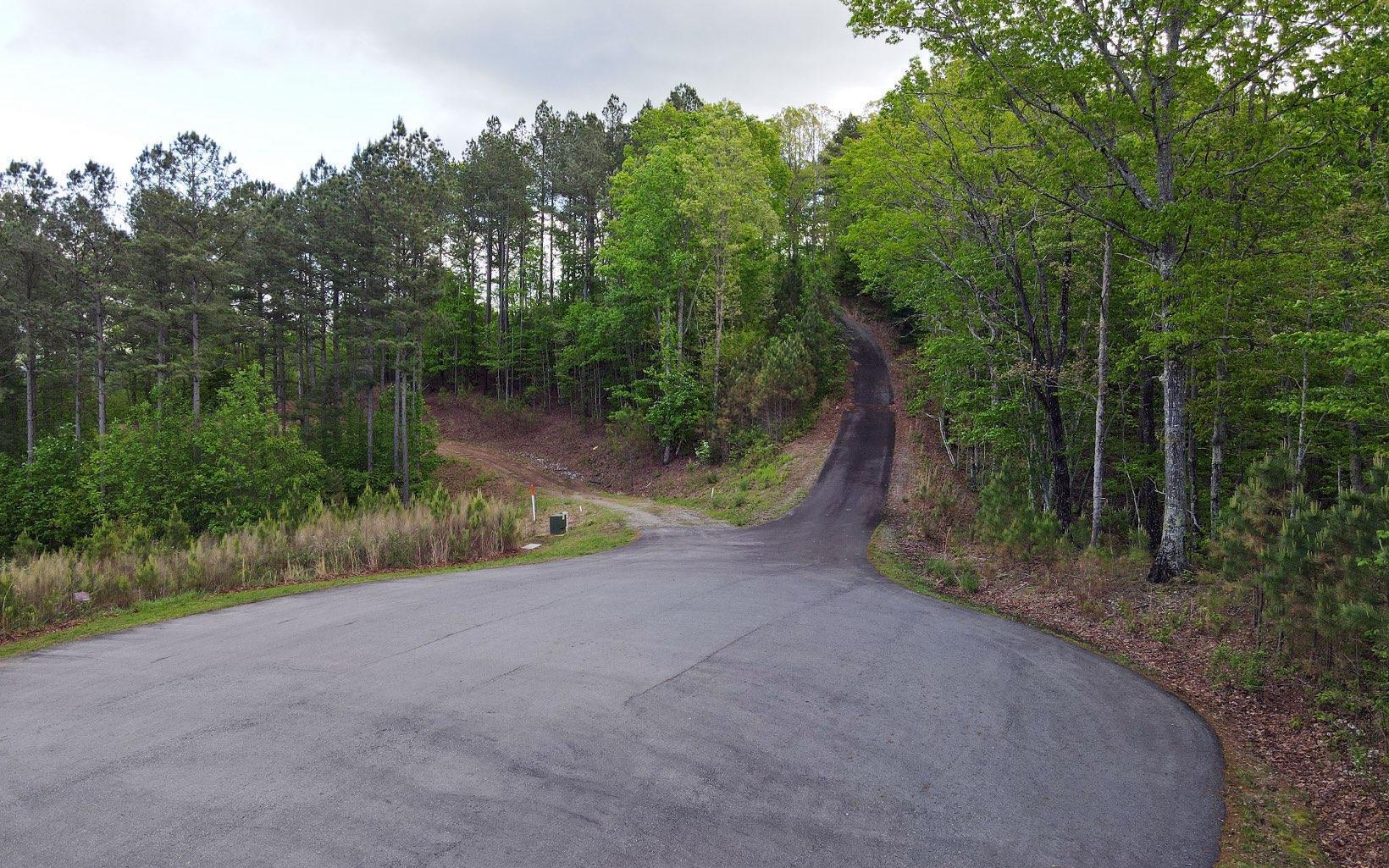 Lot 88 Thirteen Hundred Property Photo 5