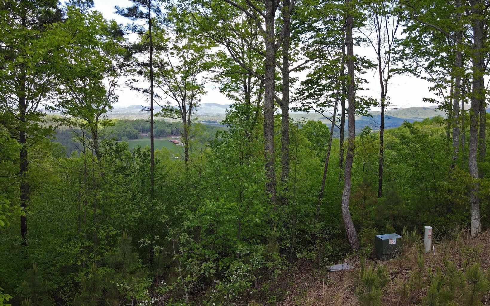 Lot 88 Thirteen Hundred Property Photo 7
