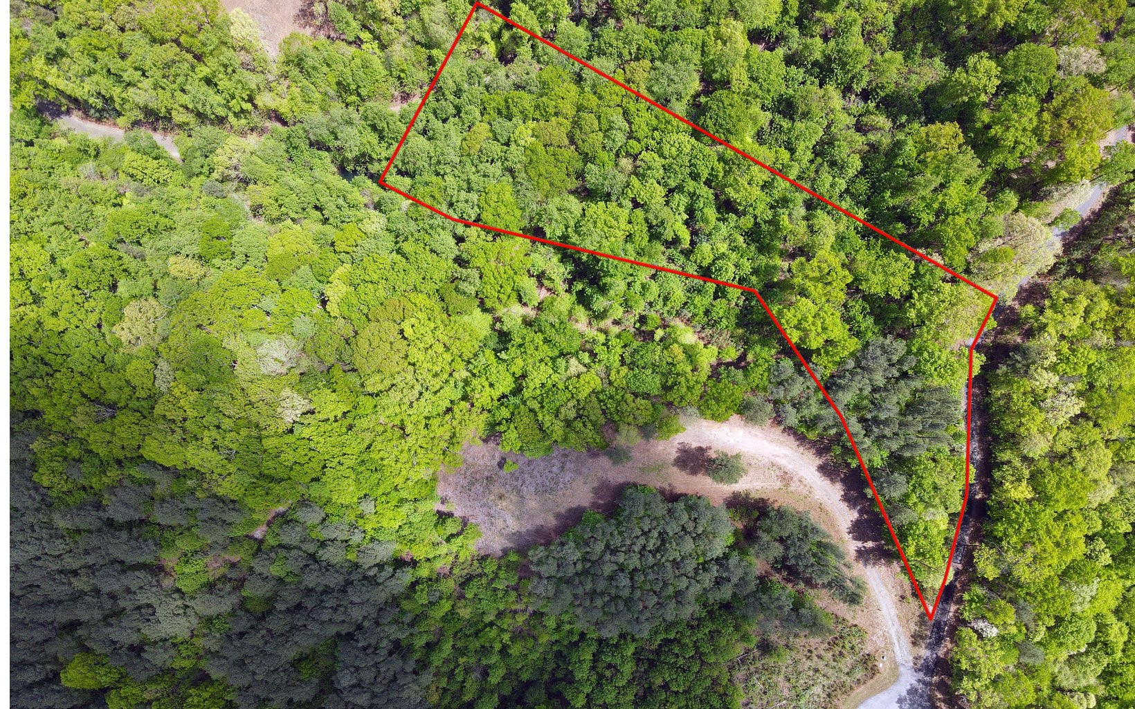 Lot 88 Thirteen Hundred Property Photo 13