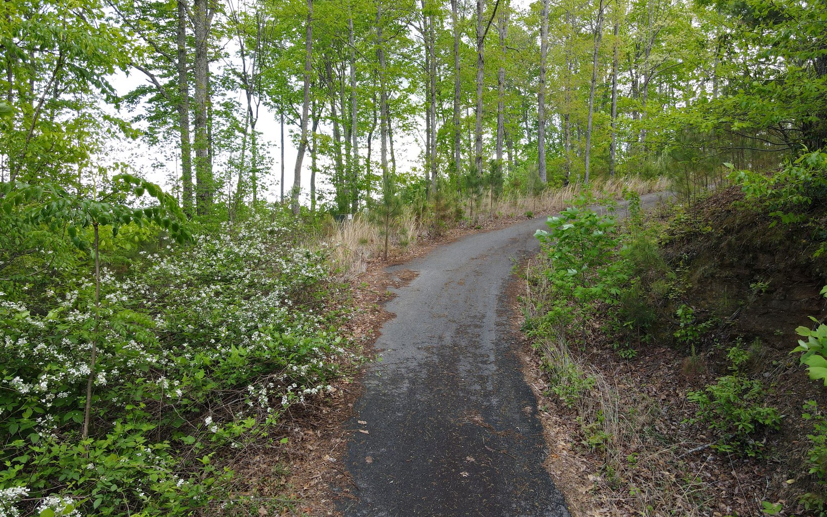 Lot 88 Thirteen Hundred Property Photo 14