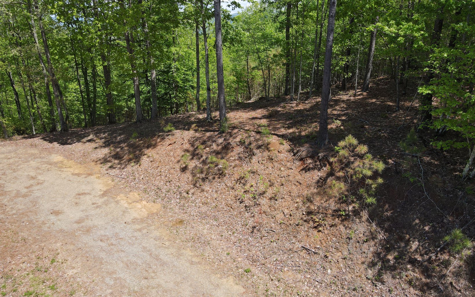 Lot 88 Thirteen Hundred Property Photo 15