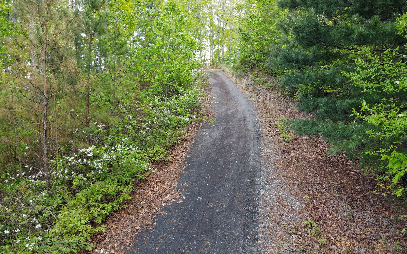 Lot 88 Thirteen Hundred Property Photo 16