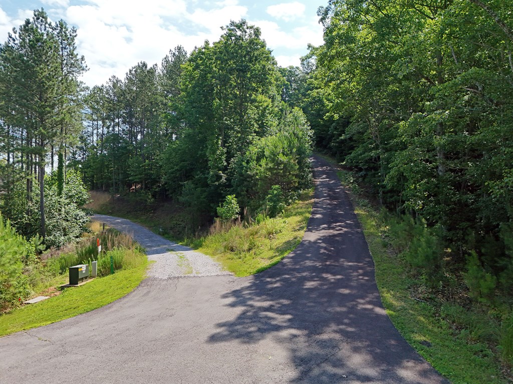 Lot 88 Thirteen Hundred Property Photo 40