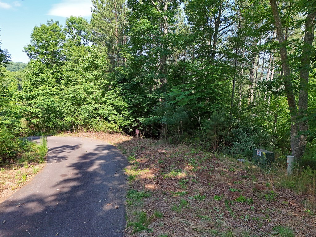 Lot 88 Thirteen Hundred Property Photo 41