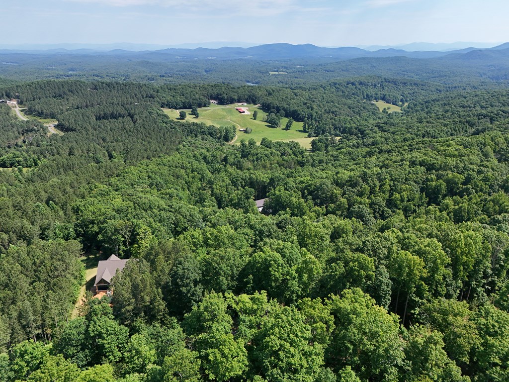 Lot 88 Thirteen Hundred Property Photo 42