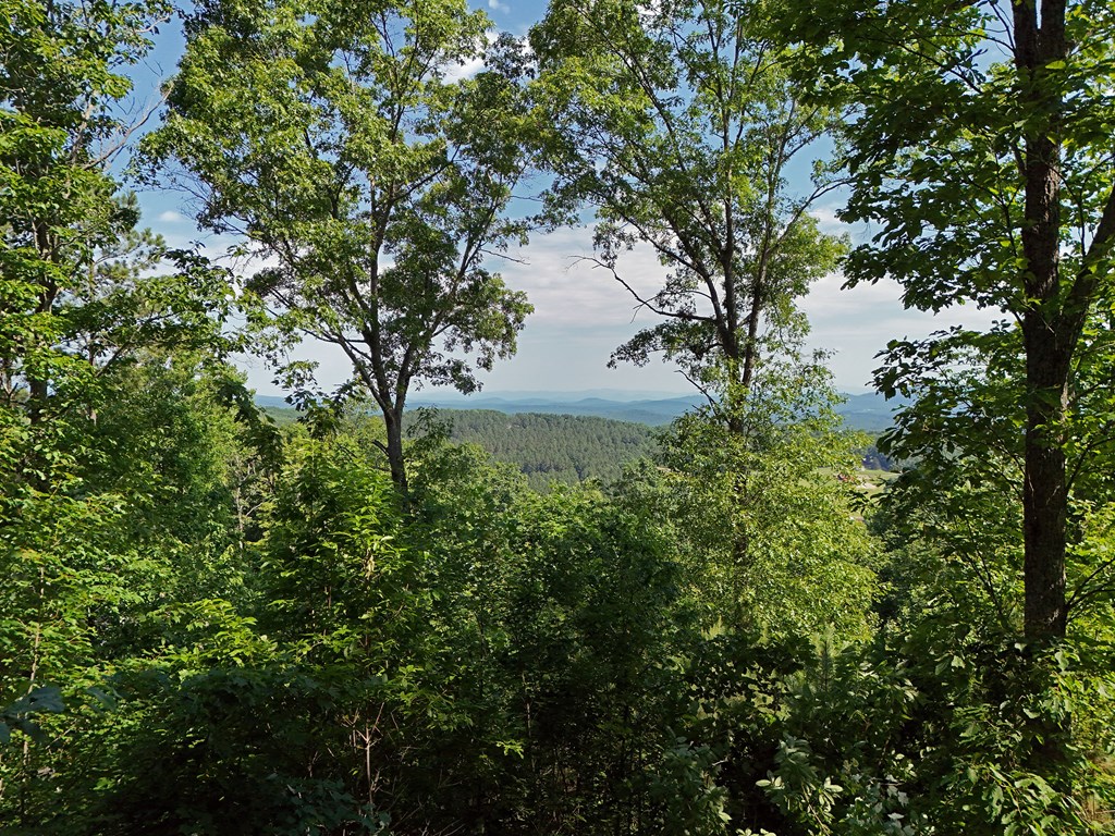 Lot 88 Thirteen Hundred Property Photo 43