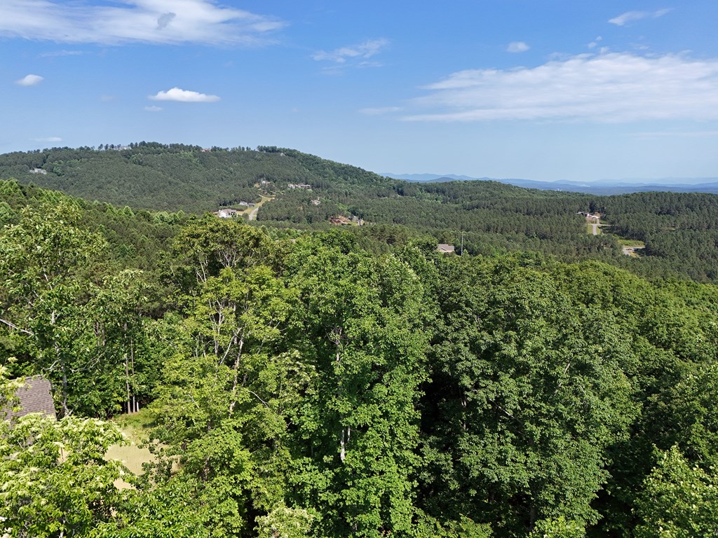 Lot 88 Thirteen Hundred Property Photo 44