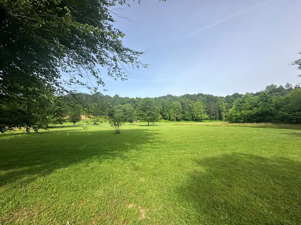 Lot 53 Brasstown Trails Property Photo 5