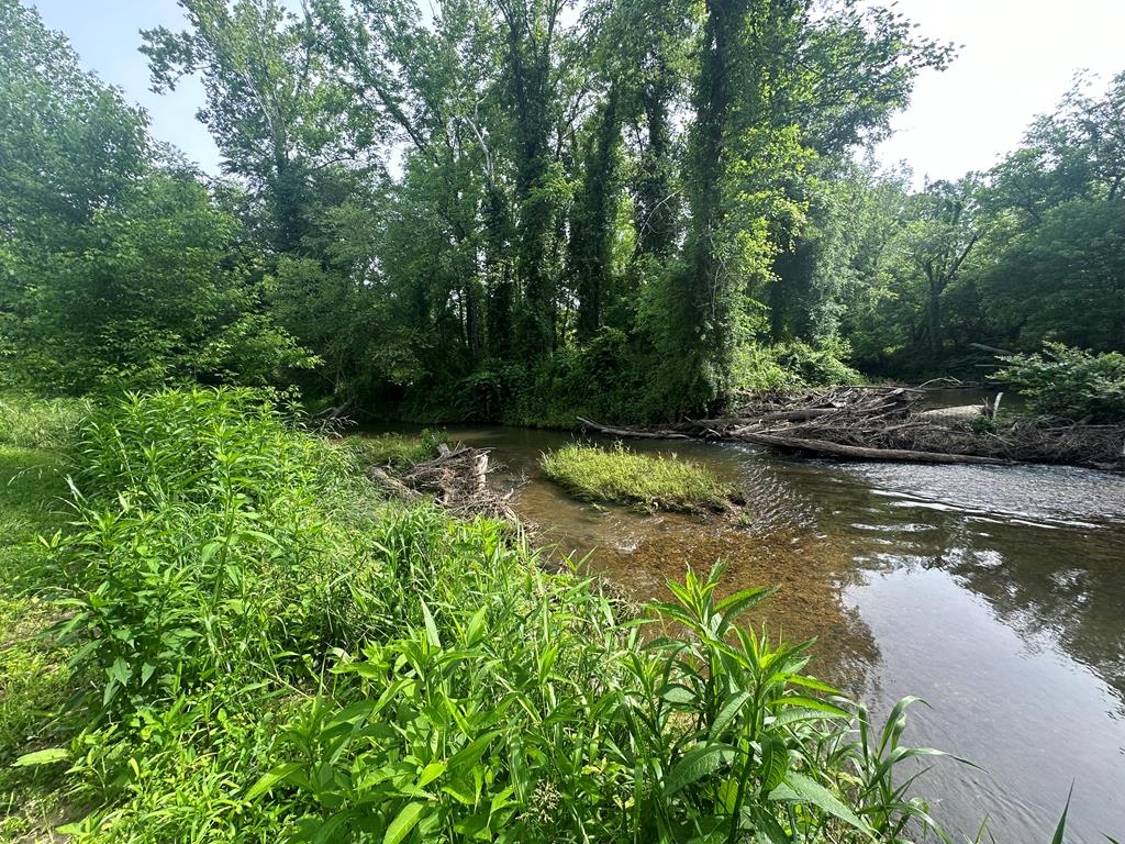 Lot 53 Brasstown Trails Property Photo 7
